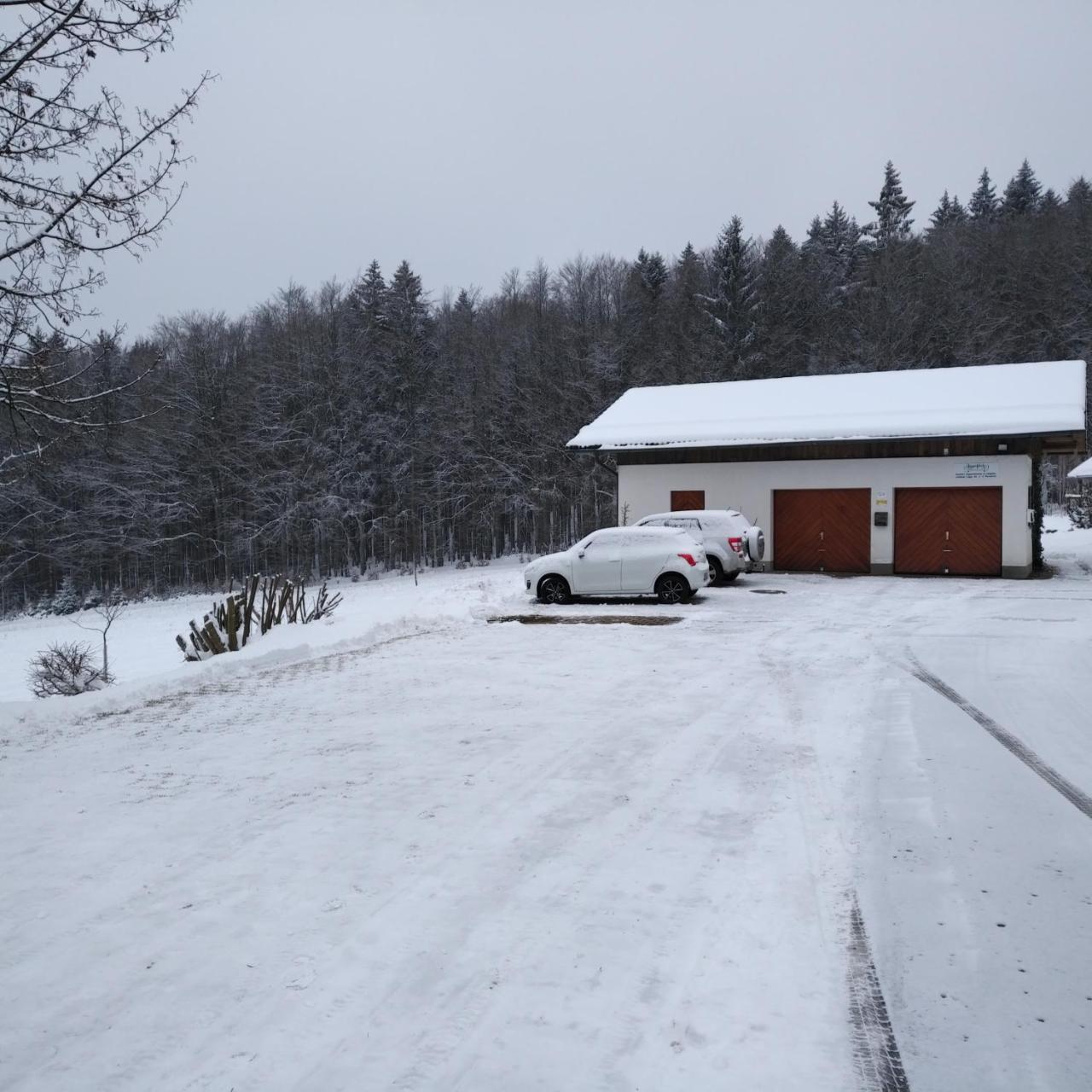 Haus Jaegerfleck, Ihre Ferienwohnungen Am Nationalpark Bayerischer Wald Spiegelau Exteriör bild