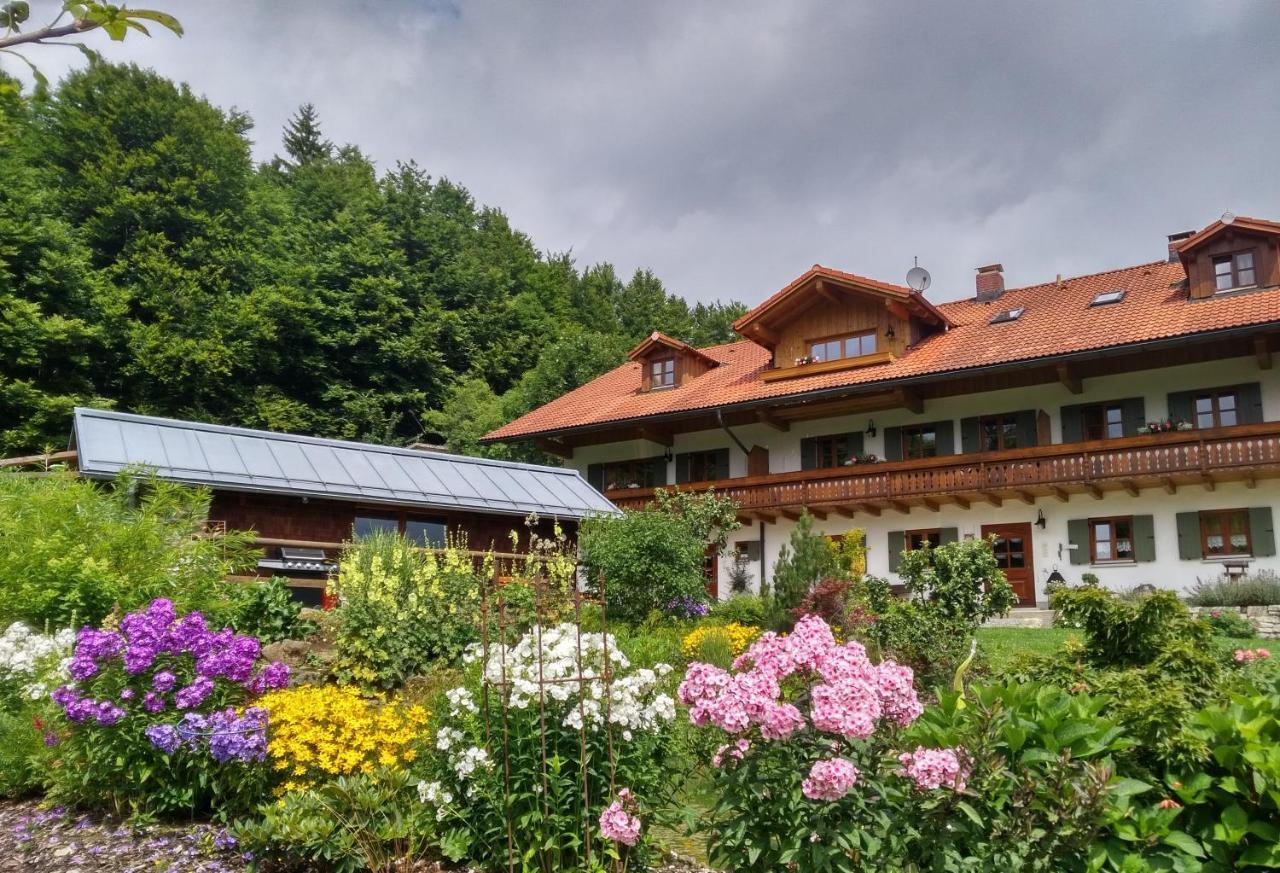 Haus Jaegerfleck, Ihre Ferienwohnungen Am Nationalpark Bayerischer Wald Spiegelau Exteriör bild